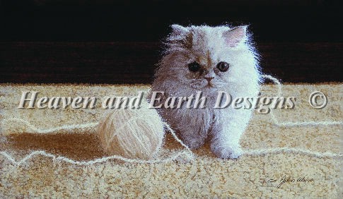 Persian Kitten - Click Image to Close